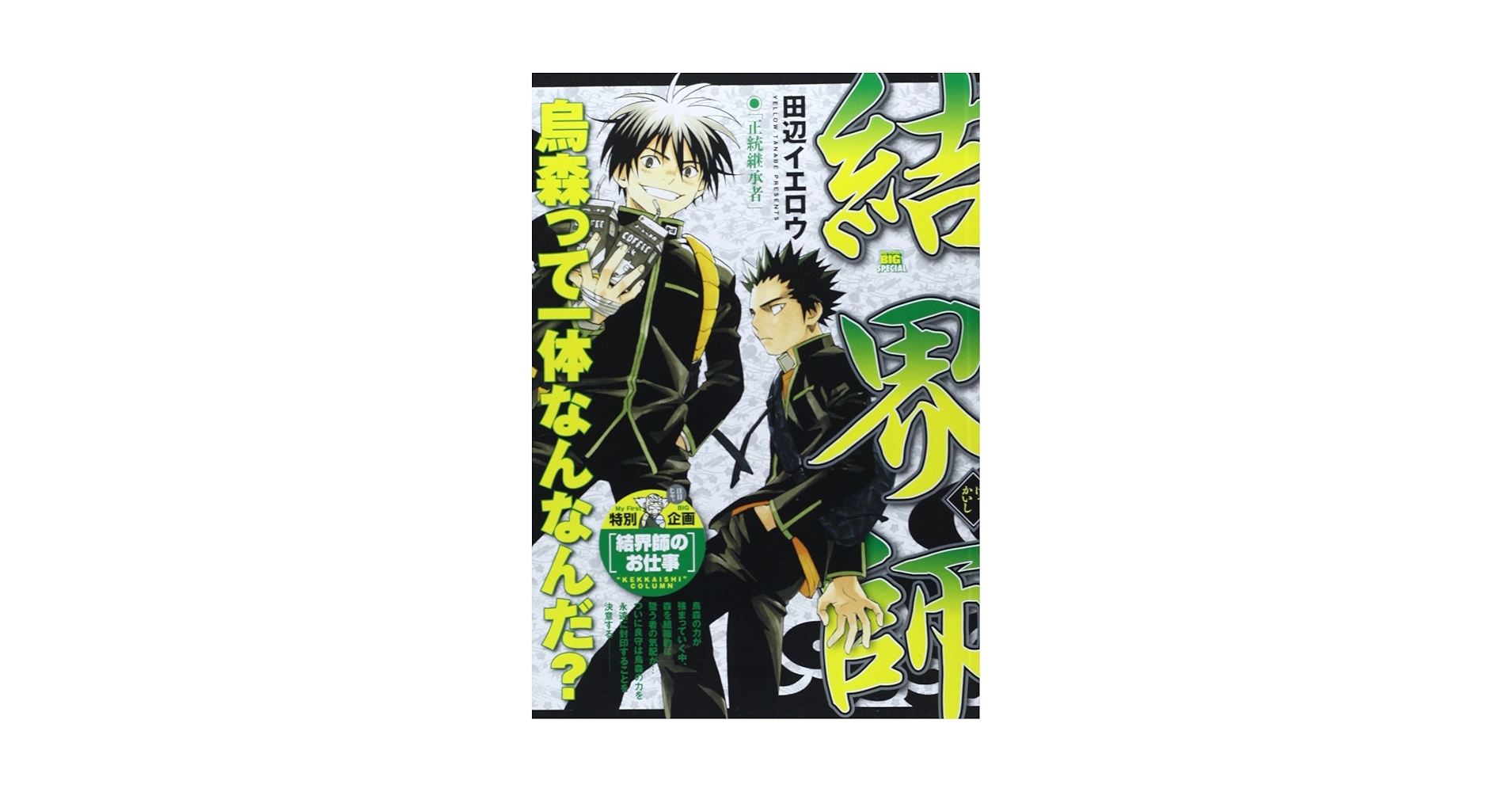 【中古】 結界師 正統継承者/小学館/田辺イエロウ 中古】 結界師 正統継承者/小学館/田辺イエロウ 結界師 完全版
